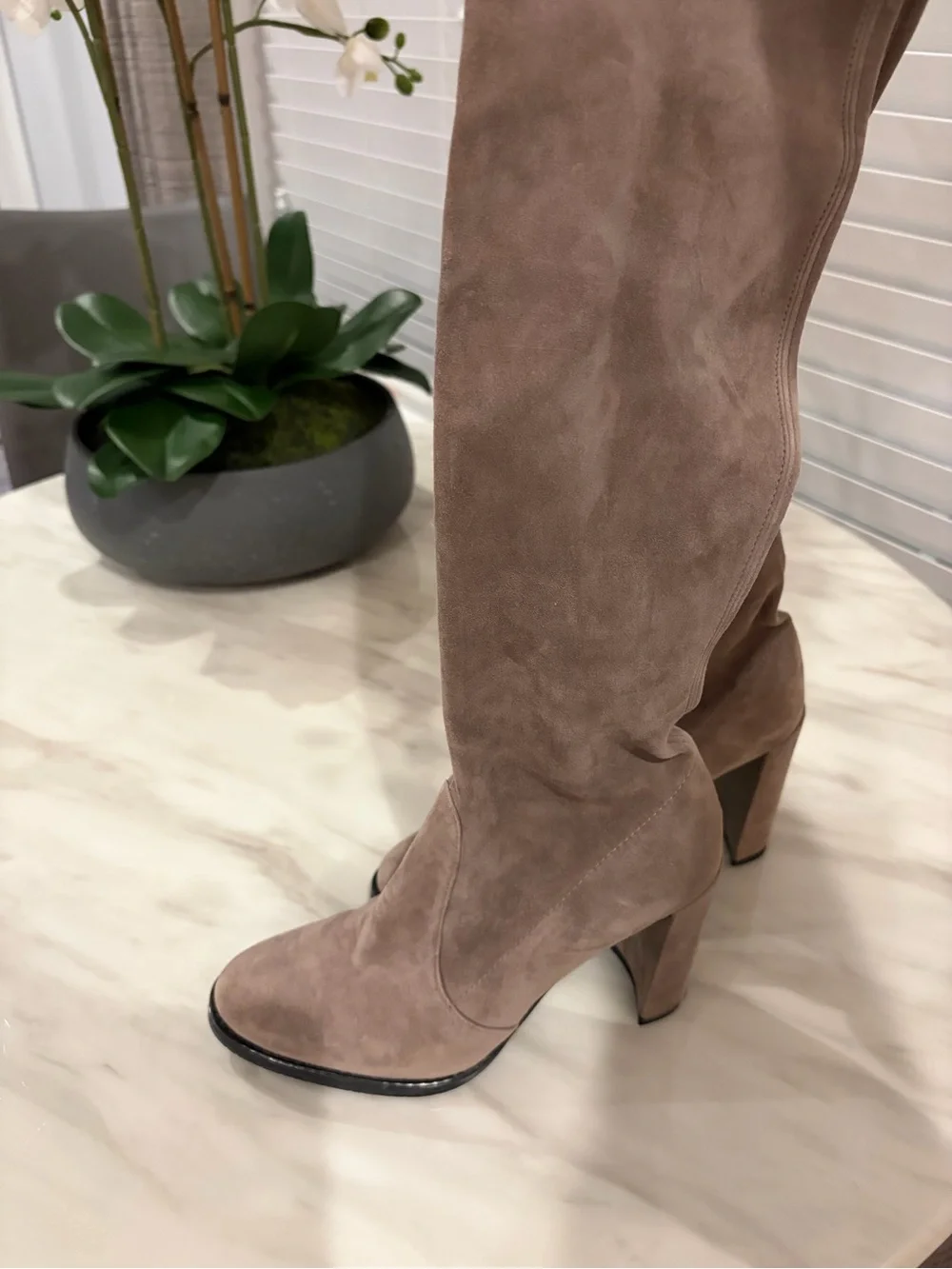 Stuart Weitzman Over-the-Knee Suede Boots in Taupe